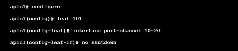 No Shutdown nhiều Port-channel với Cisco ACI command CLI