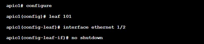 No Shutdown Physical Ports with Cisco ACI command CLI