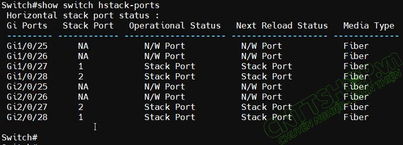 show switch hstack-ports