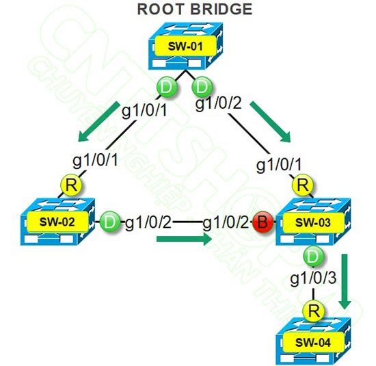 hoạt động cơ bản của spanning tree