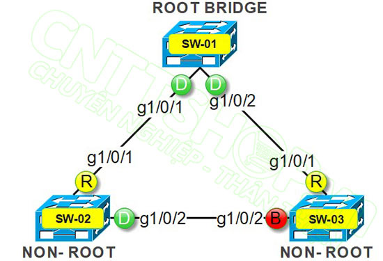 mô hình kết nối switch và trạng thái cổng khi chưa enable UplinkFast