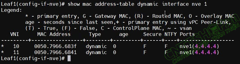 sử dụng lệnh show mac address-table