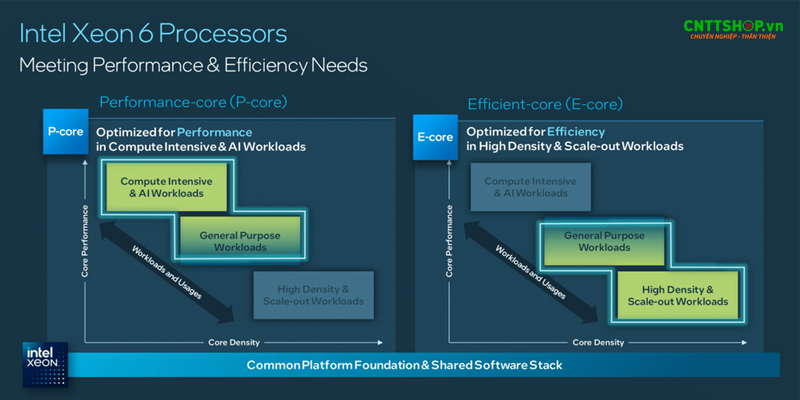 CPU Intel E-cores và P-cores được xây dựng tối ưu cho những mục đích khác nhau