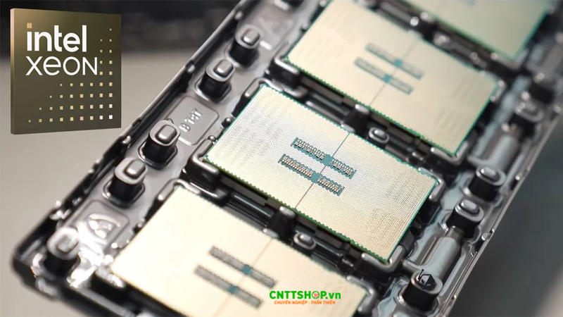 Các CPU Intel E-cores và P-cores