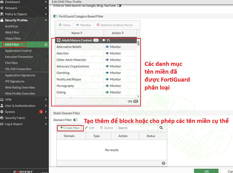 edit các danh mục có sẵn hoặc tạo thêm để block hoặc cho phép phân giải DNS cụ thể