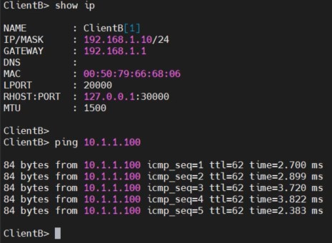 test ping từ client B của site BR sang NAS của site HQ