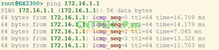Ping test LACP Layer 3 interface switch Juniper thành công