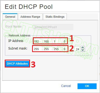 Nhập thông tin subnet và chọn dhcp attributes để thêm các option