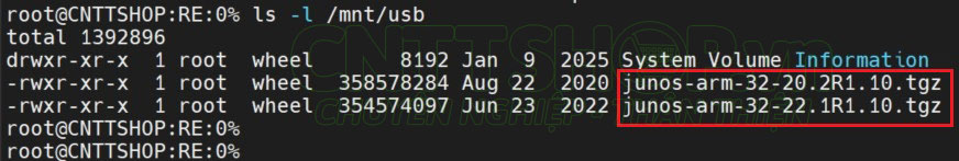 sử dụng lệnh ls -l /mnt/usb để kiểm tra xem ổ đã được mount thành công hay chưa