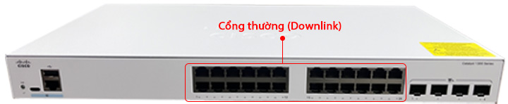 Cổng thường Downlink trên switch