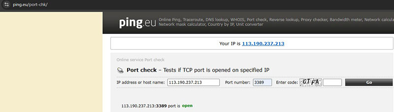 kiểm tra trạng thái port trên ping.eu