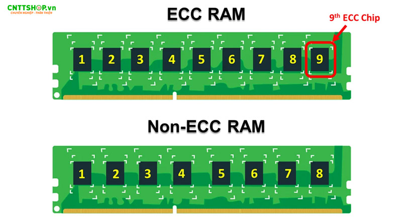 ECC với không ECC