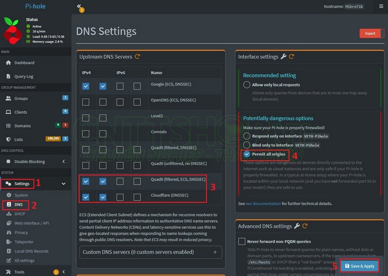 cấu hình dns cho pihole
