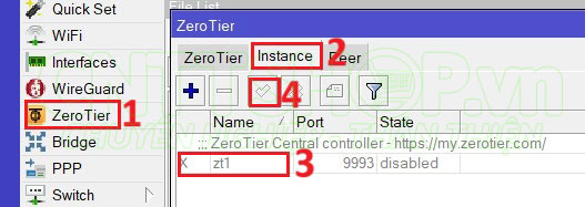 enable zt1 instance