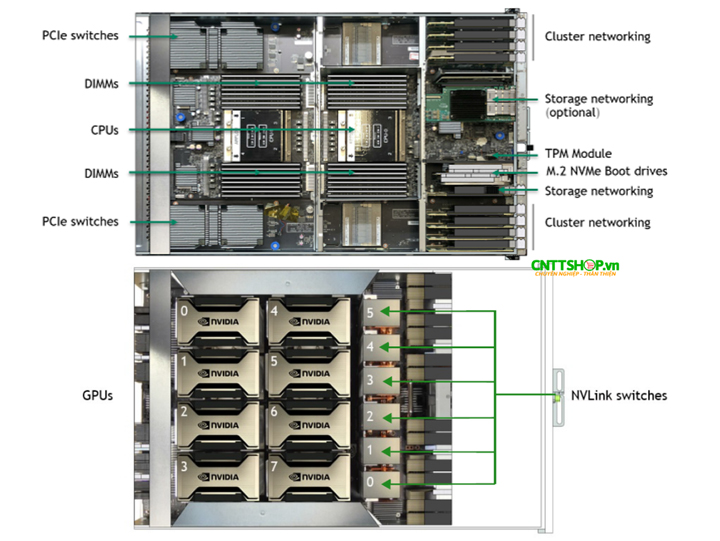 nvidia dgx a100 cấu hình