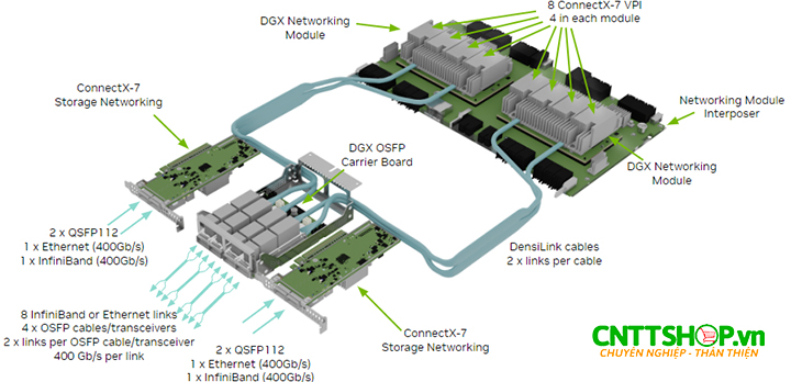 Kết nối mạng của NVIDIA DGX H100 và DGX H200