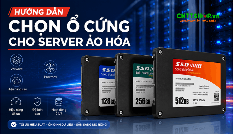 Hướng dẫn chọn ổ cứng cho Server Ảo Hóa VMware & Proxmox