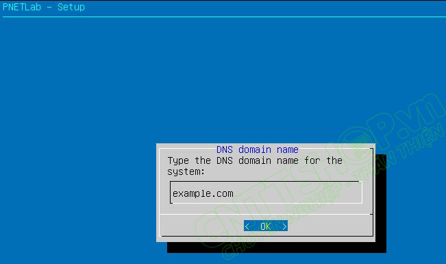 nhập DNS domain name cho PnetLab