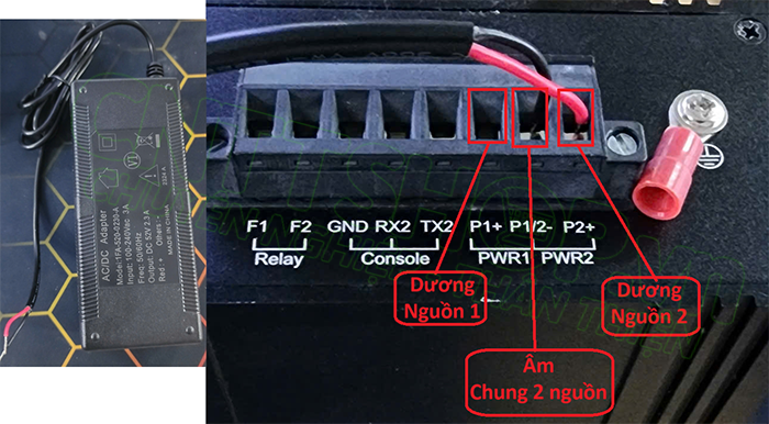 cách đấu nối nguồn trên switch scodeno