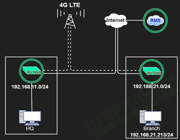 mô hình kết nối demo Teltonika RMS VPN