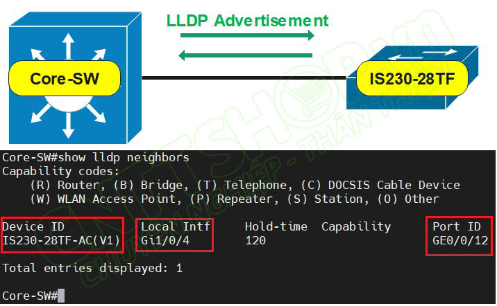 các thông tin hiển thị trong LLDP