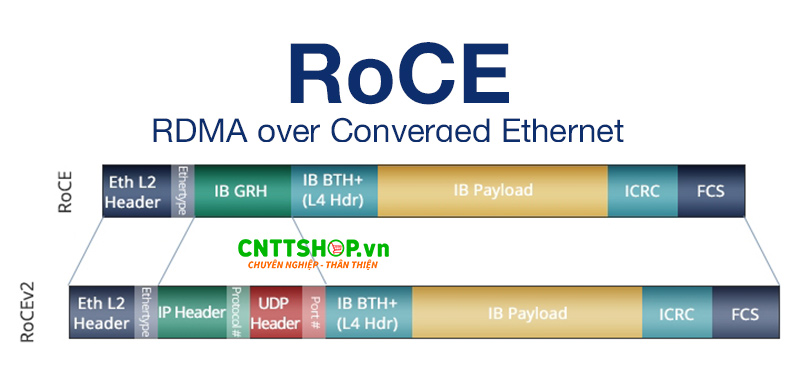 Các phiên bản của RoCE