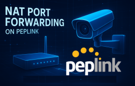 Cấu hình NAT Port trên Cân bằng tải Peplink